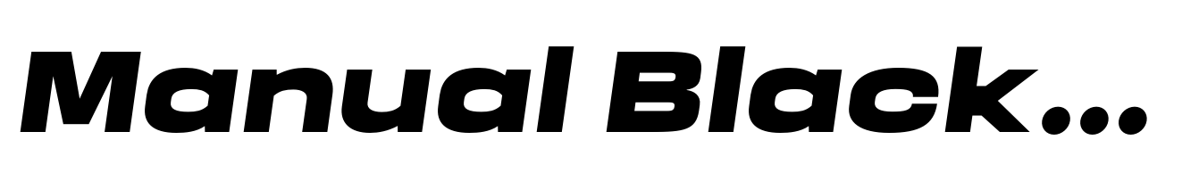 Manual Black Expanded Italic
